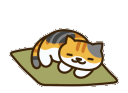 sleepcat